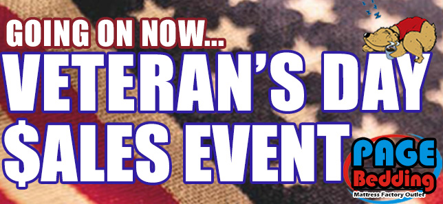 Veteran's Day Sales Event!